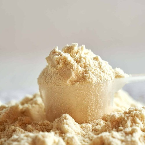 Whey Powder DM40